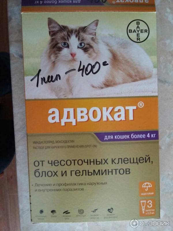 Капли для кошек "Адвокат": инструкция по применению препарата от блох, глистов и клещей