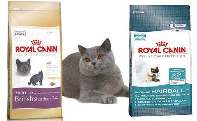 Сухой корм для кошек royal canin — отзывы. негативные, нейтральные и положительные отзывы