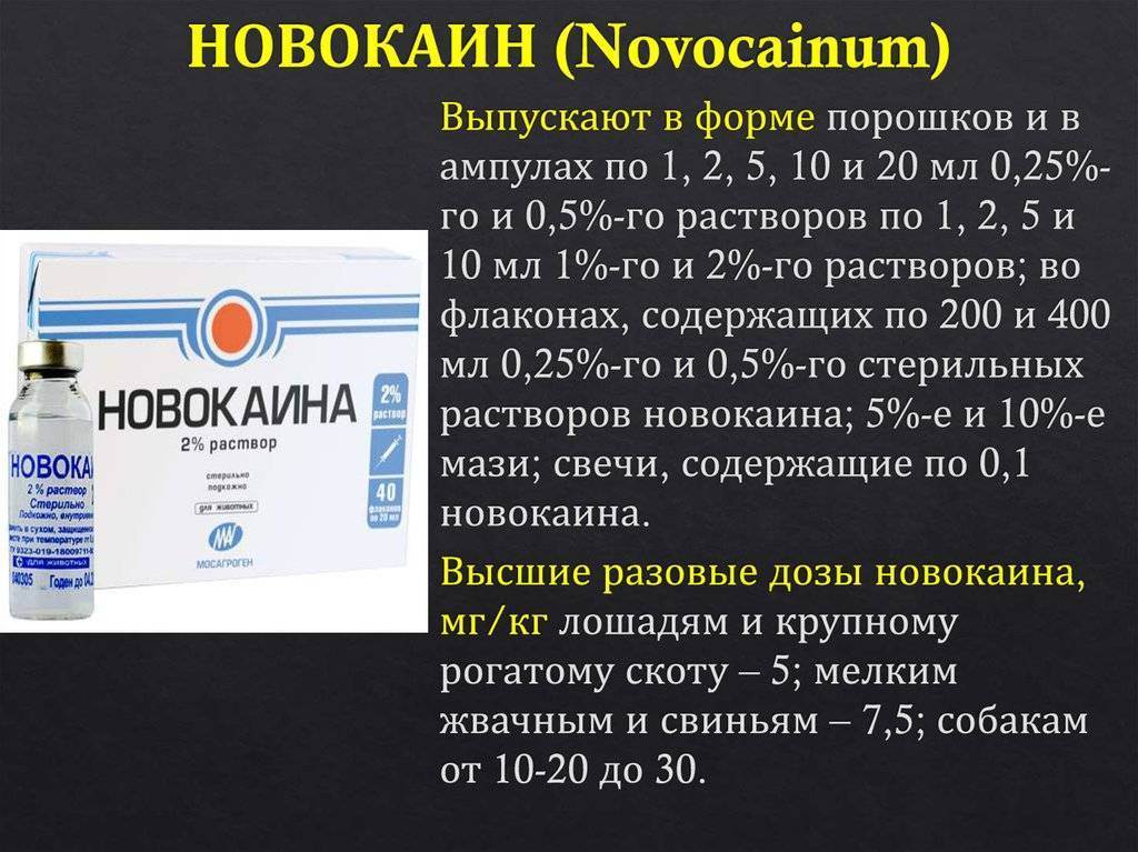 Лидокаин группа препарата. Новокаин лекарственные формы. Новокаин относится к группе препаратов. Новокаин фармакологические эффекты. Новокаин для внутривенного введения.