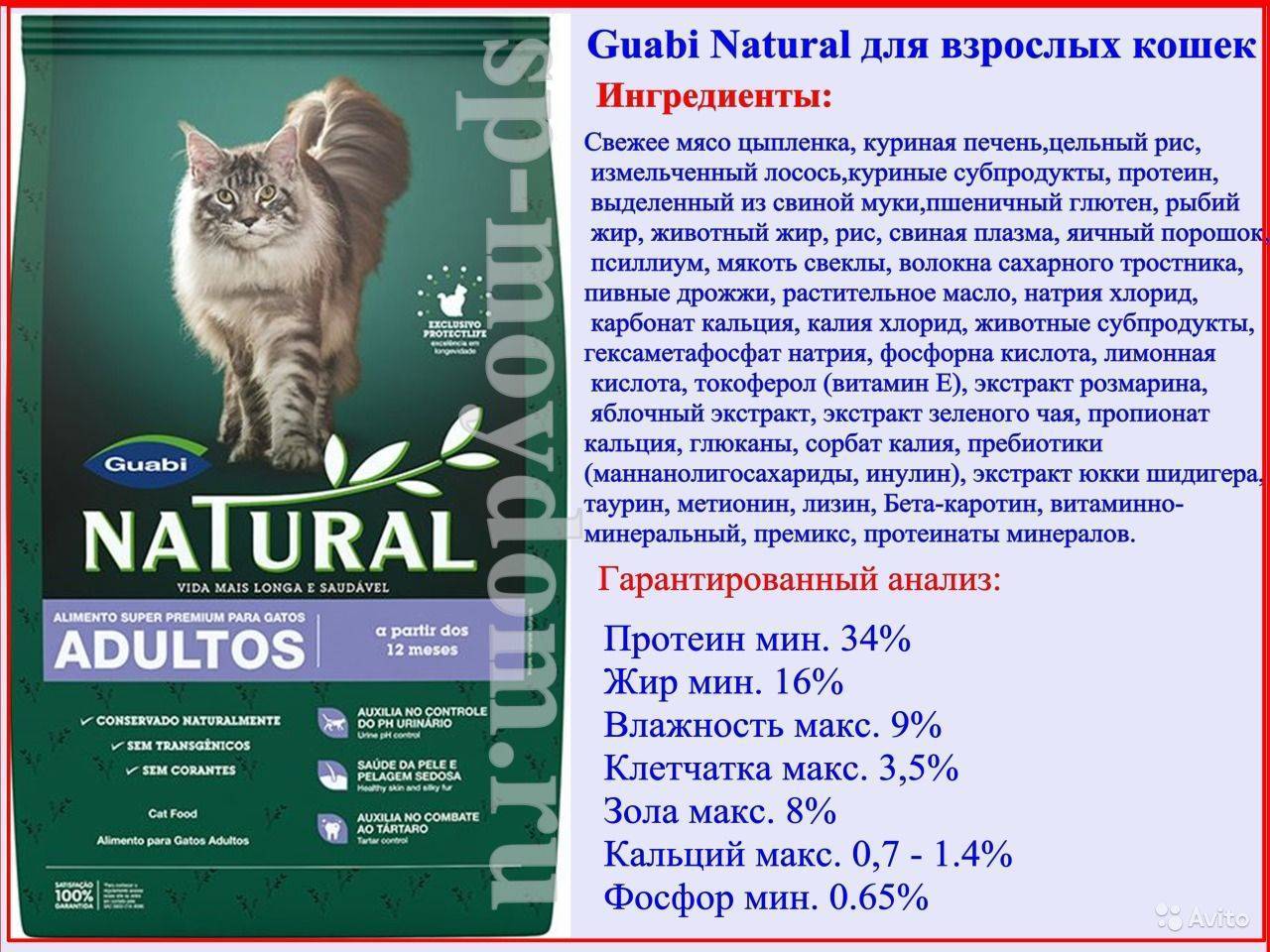 Корм для кошек грандорф: отзывы и обзор состава | сайт «мурло»