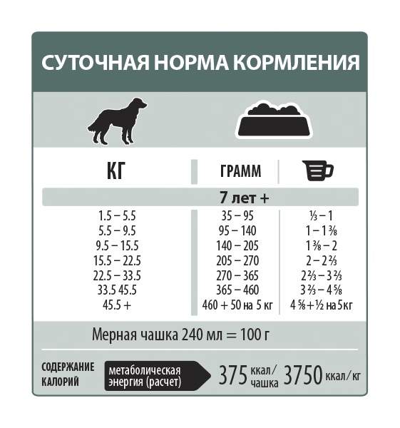 Сколько раз в день кормить собаку и какое количество корма ей давать: норма в таблице