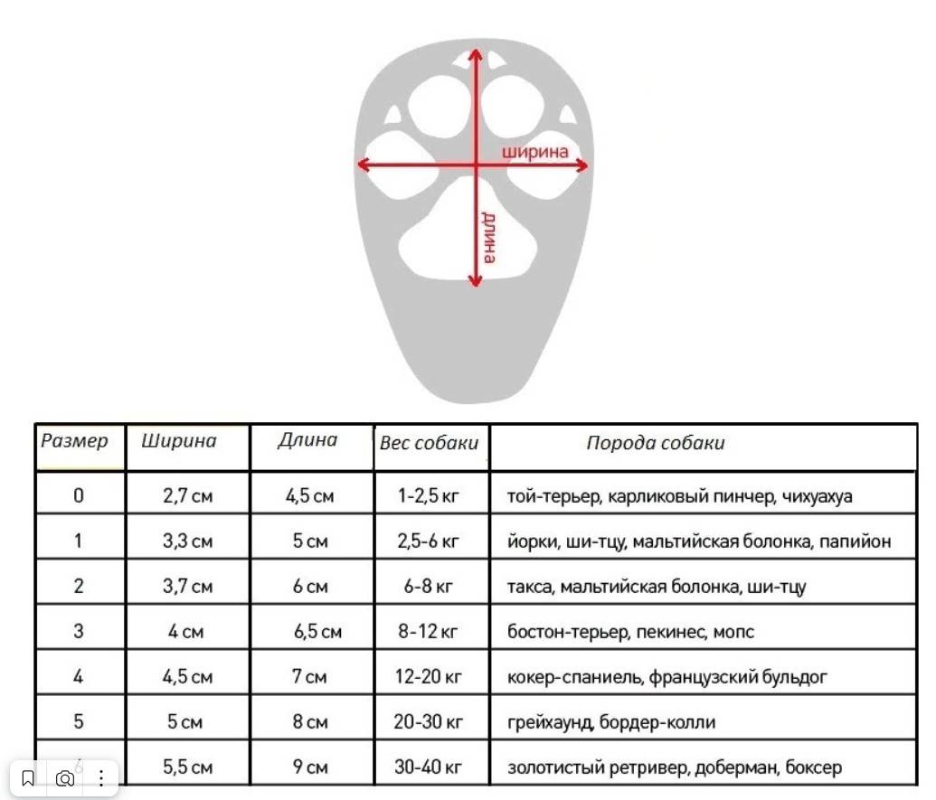 Как найти размерность. Размерная сетка ботинок для собак. Как определить размер ботинок для собак. Размер лапы собаки таблица размеров. Размер обуви для собак.