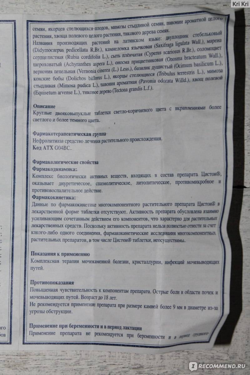 Цистон для кошек: показания к применению и отзывы