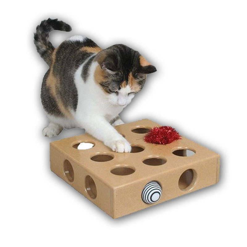 Игрушки для котят своими руками в домашних условиях, как сделать интересную для кошки игрушку - интерактивную, дразнилку, погремушку