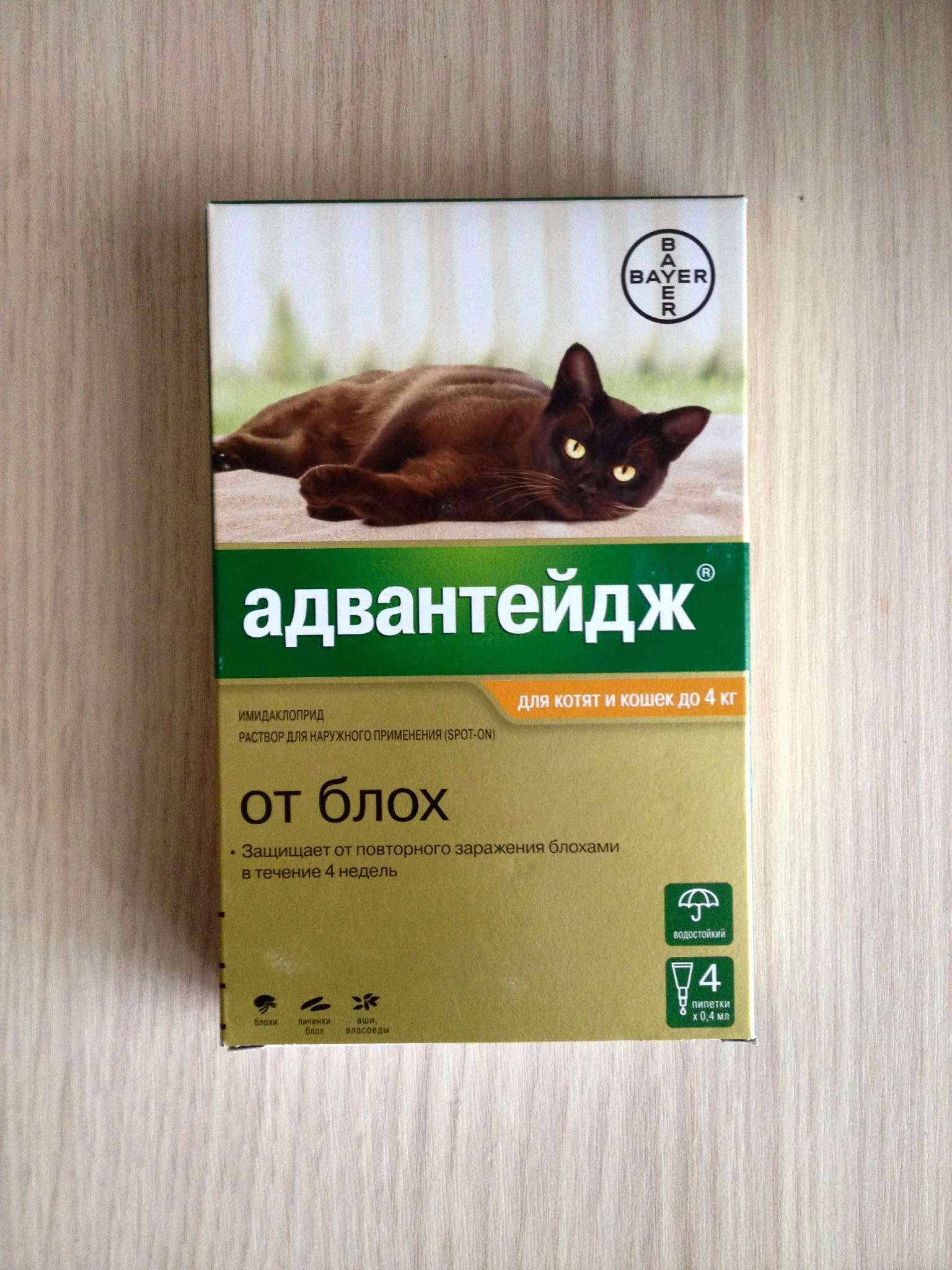 Адвантейдж для кошек: инструкция по применению капель от блох, дозировка