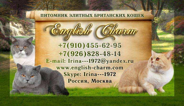 50+ питомников растений и садовых центров в московской области!