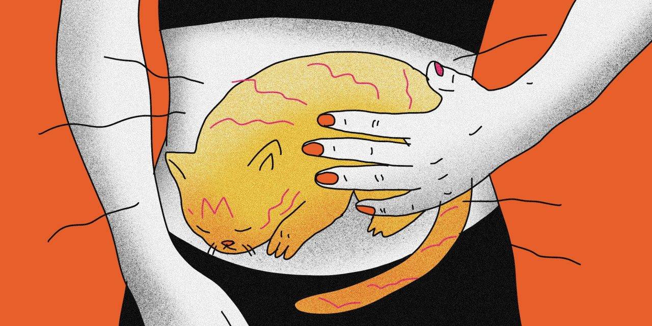 Расстройство пищеварения желудочно-кишечного тракта: диспепсия