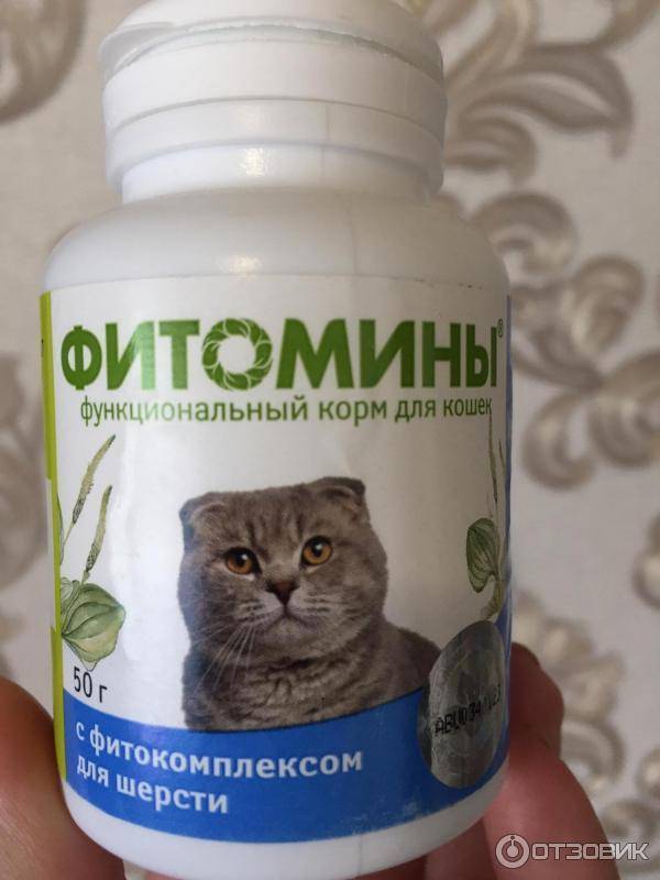 Витамины для кошек от выпадения шерсти: обзор лучших, отзывы