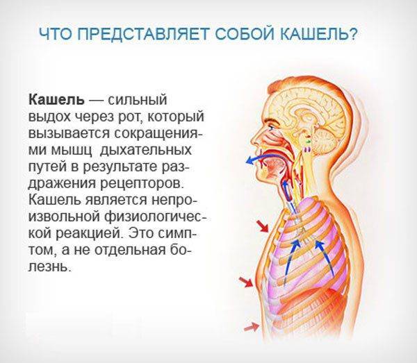 Может ли сильный кашель