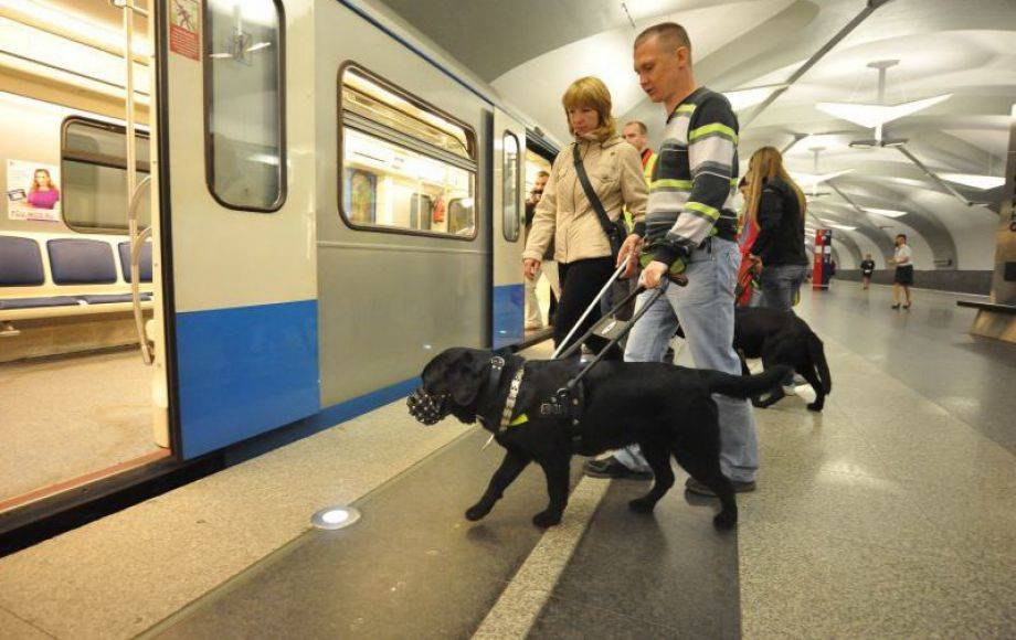 Можно ли с собакой в метро?