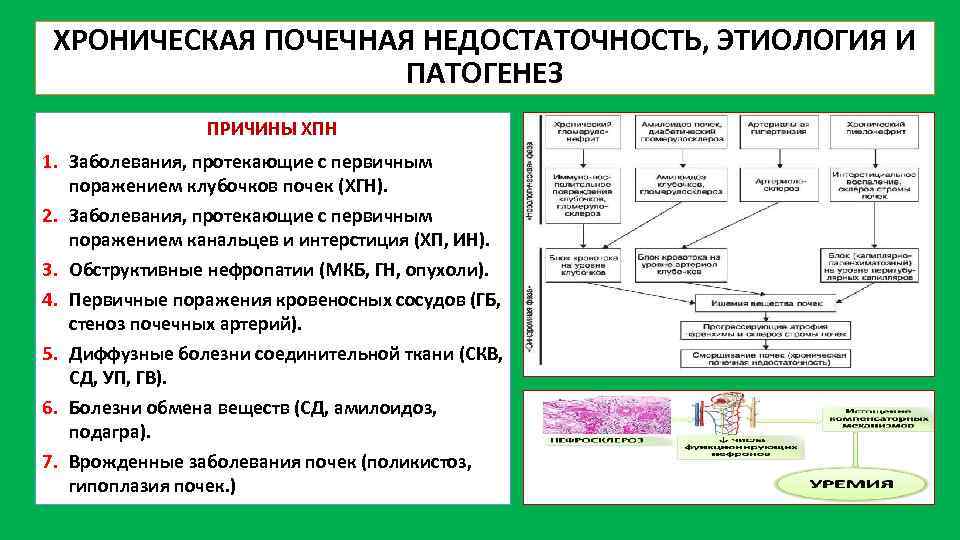 Диарея разновидности этиология патогенетическое обоснование клиника презентация