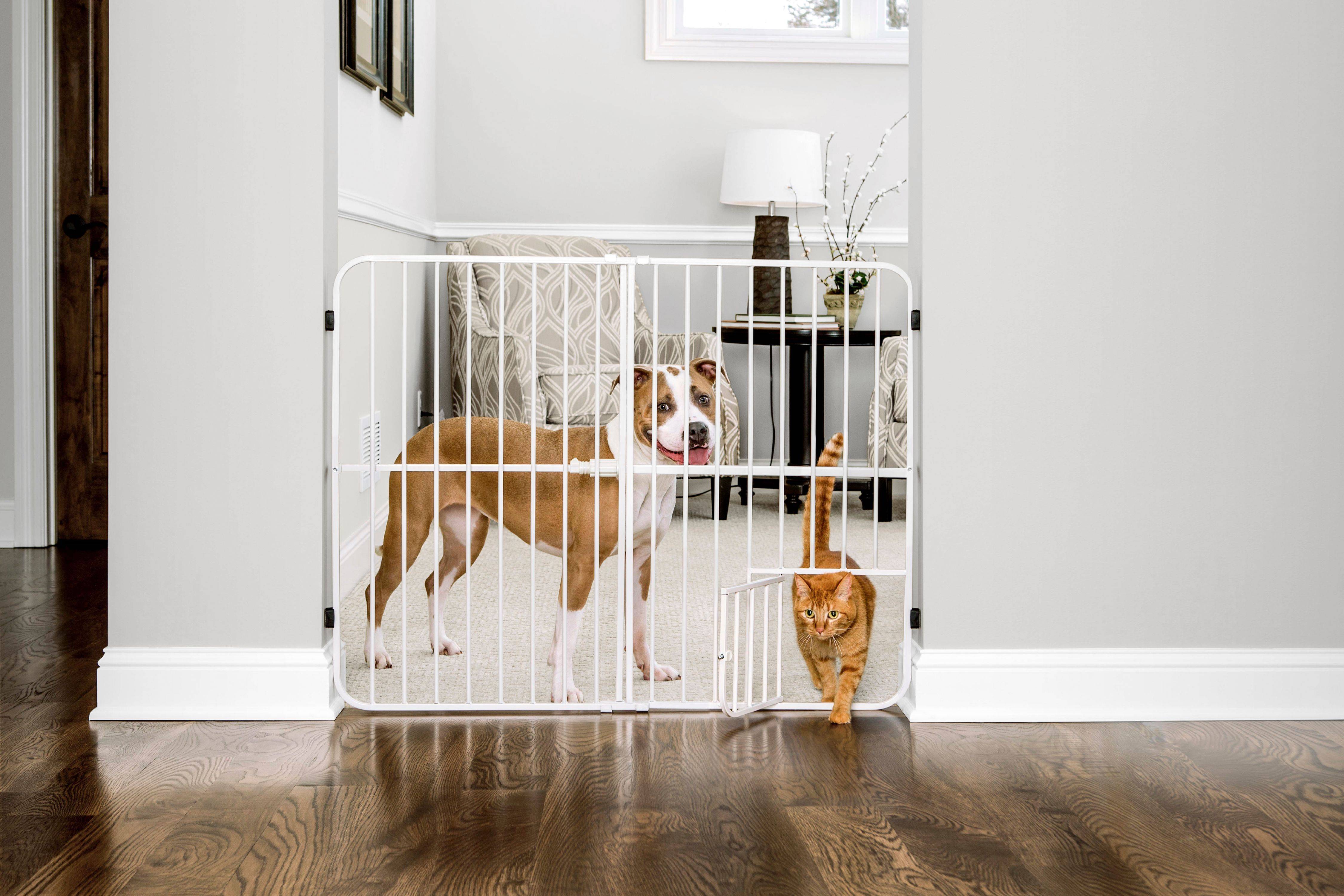 ᐉ как обустроить место для собаки в квартире или доме - ➡ motildazoo.ru