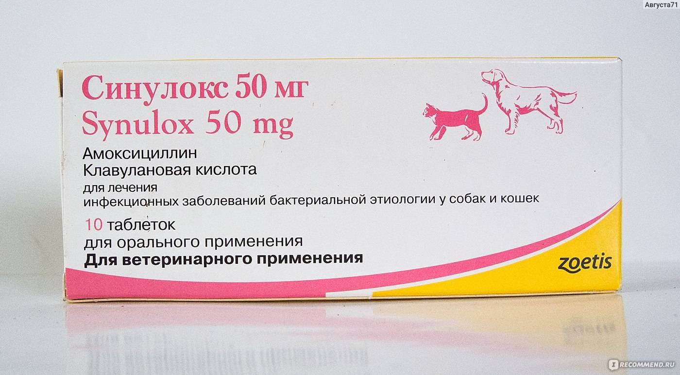Синулокс для кошек в таблетках и инъекциях: инструкция по применению, описание антибиотика, дозировка, аналоги