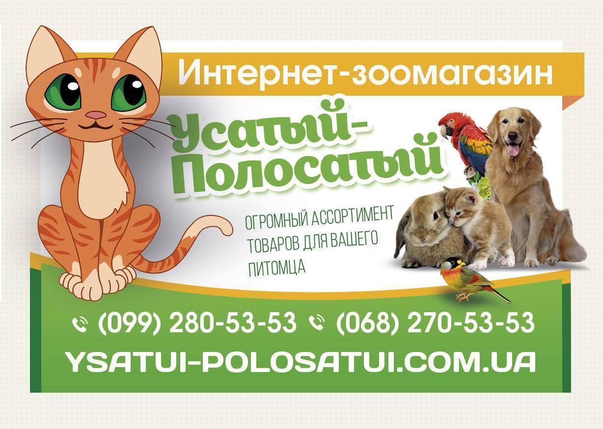 Интернет Магазин Для Животных