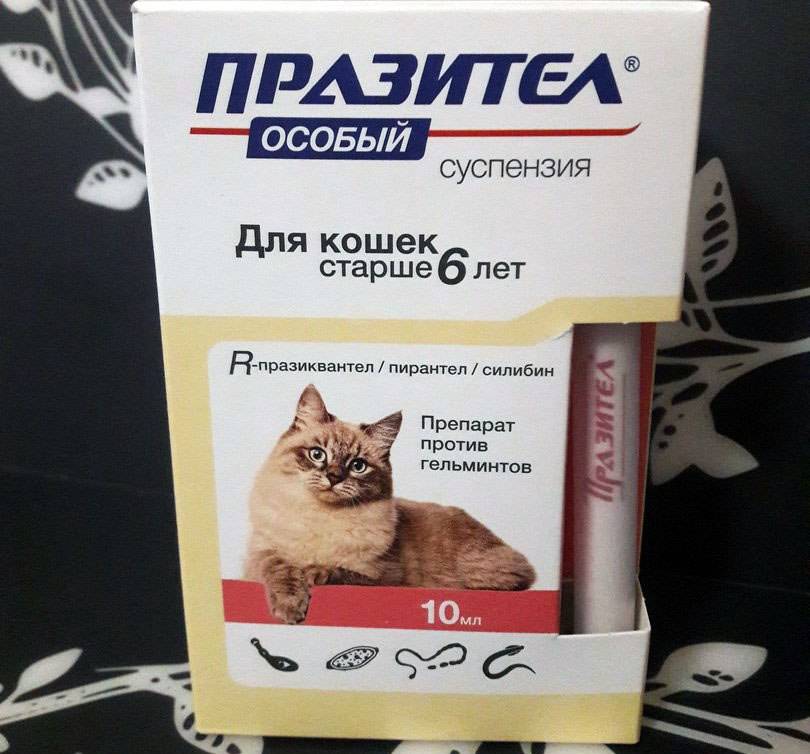 Празител суспензия для кошек инструкция по применению. Празител особый суспензия. Празител особый для кошек. Празител суспензия для кошек. Празител для котят таблетки
