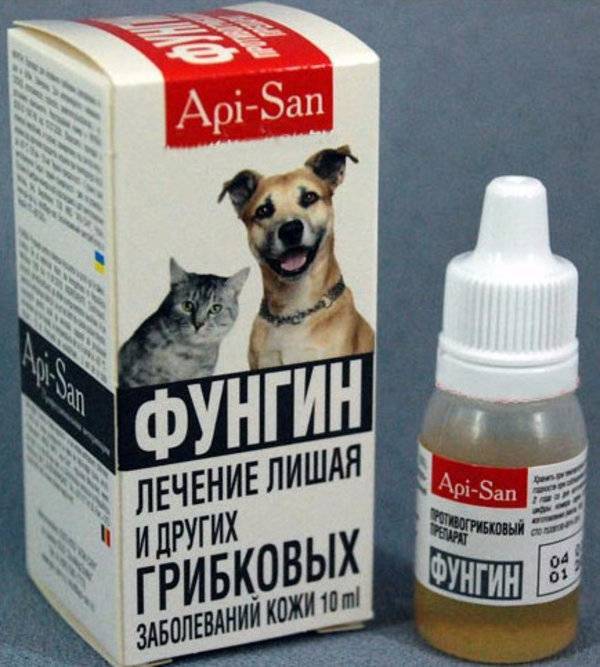 Использование препарата фунгин форте для лечения заболеваний кожи у кошек