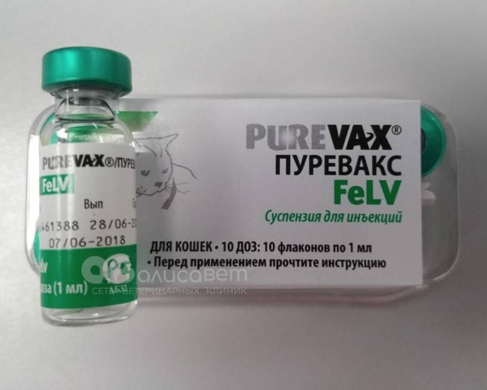 Пуревакс для кошек: вакцина rcpch с хламидиозом, инструкция по применению