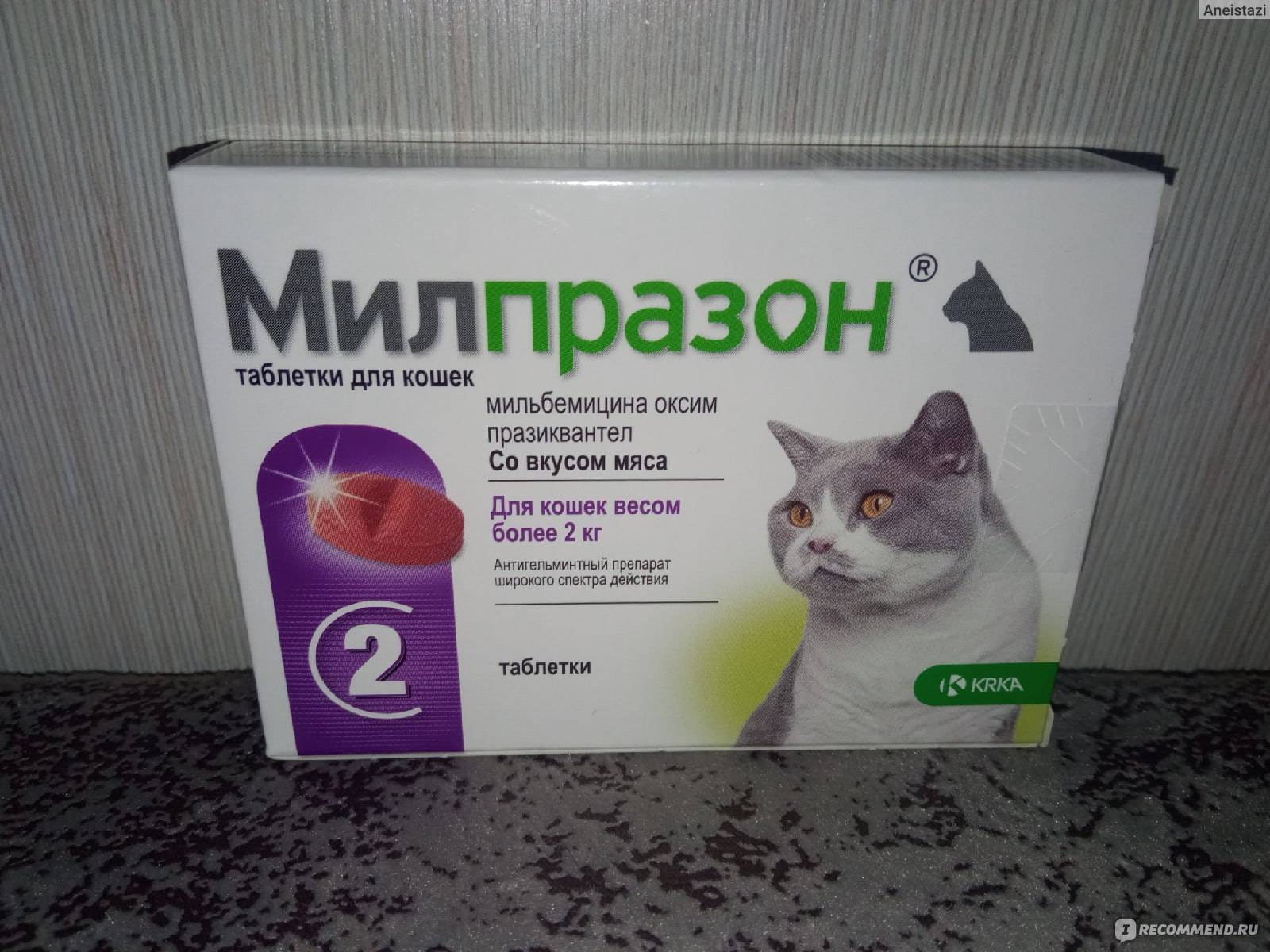 Антигельминтные препараты широкого спектра действия для человека. Антигельминтные препараты. Милпразон. Для котов антигельминтное и. Противоглистные препараты для кошек широкого спектра.