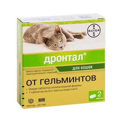 Как правильно глистогонить кошку