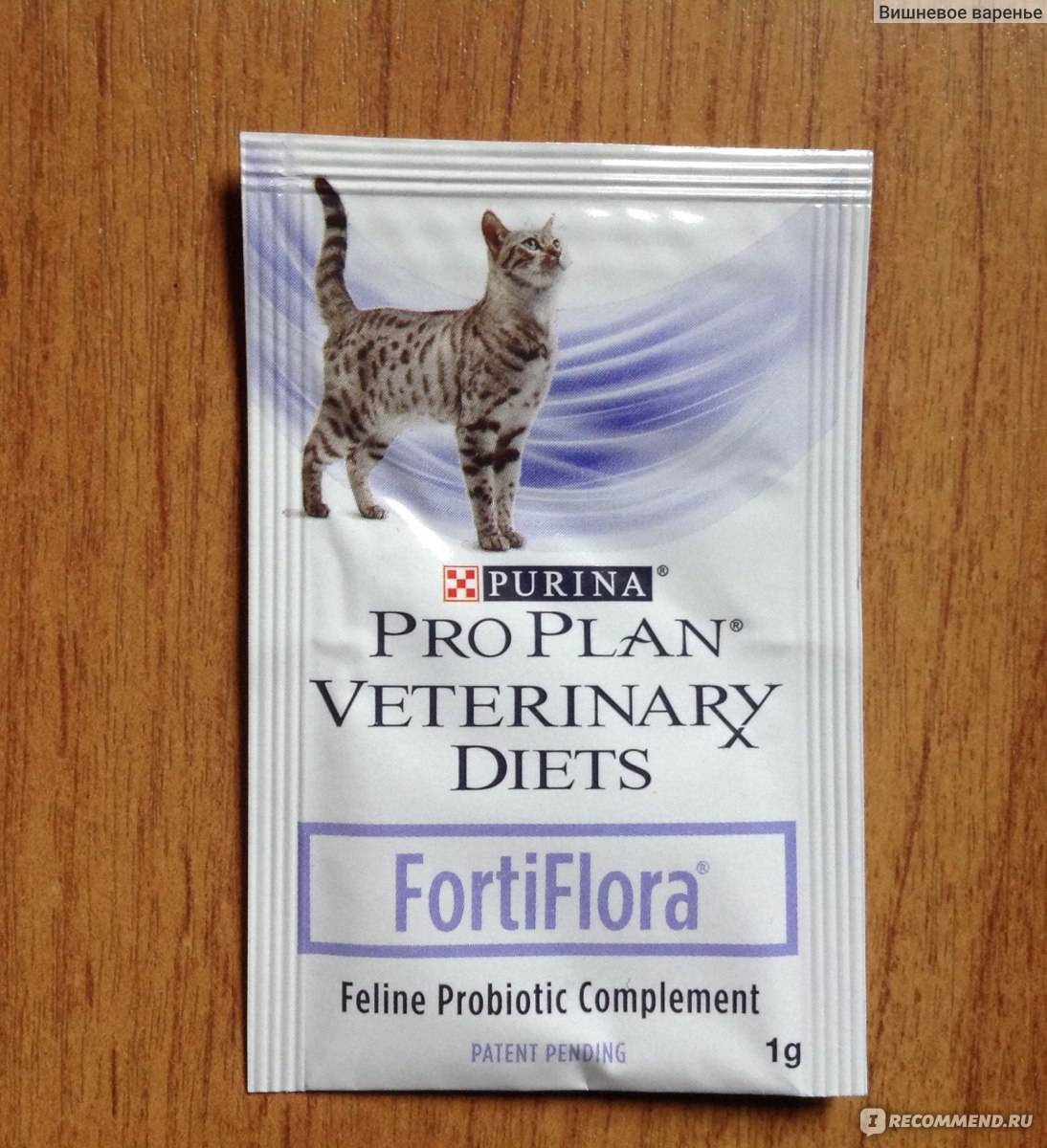 Чем отличается фортифлора для собак и кошек. fortiflora для собак: способ применения и дозировка