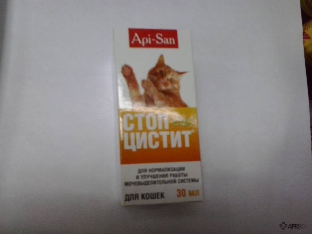 ᐉ стоп цистит для кошек как быстро действует - zmclinic.ru