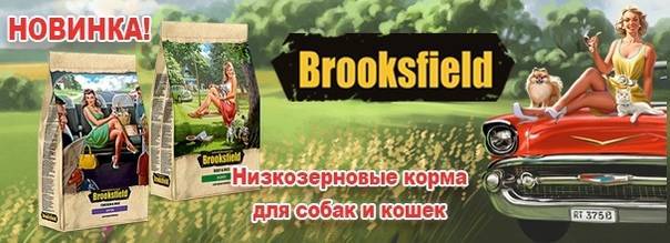 Brooksfield