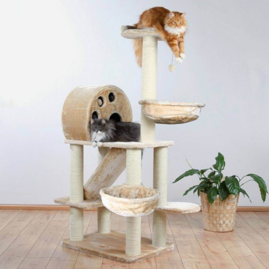 Игровой комплекс для кошек своими руками (23 фото): чертежи и размеры. как сделать красивый настенный комплекс для кота?
