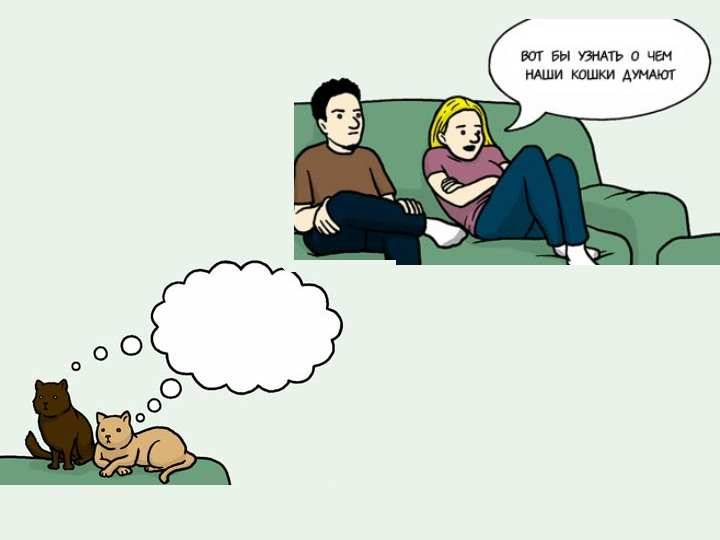 Узнают ли кошки своих хозяев после разлуки?