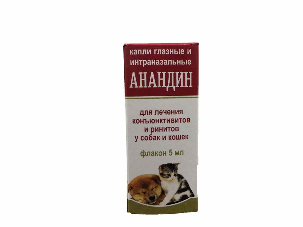 Максидин: инструкция по применению для кошек, отзывы, аналоги препарата