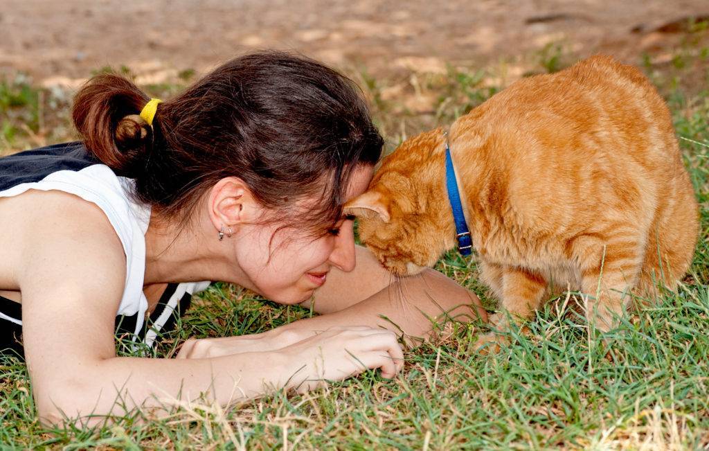 Как понять, что кошка любит своего хозяина