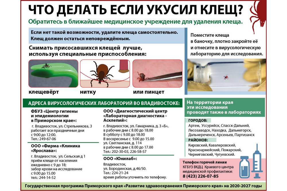 Помощь при укусе собаки