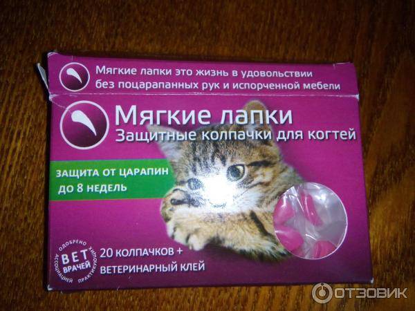 Удаление когтей у кошек