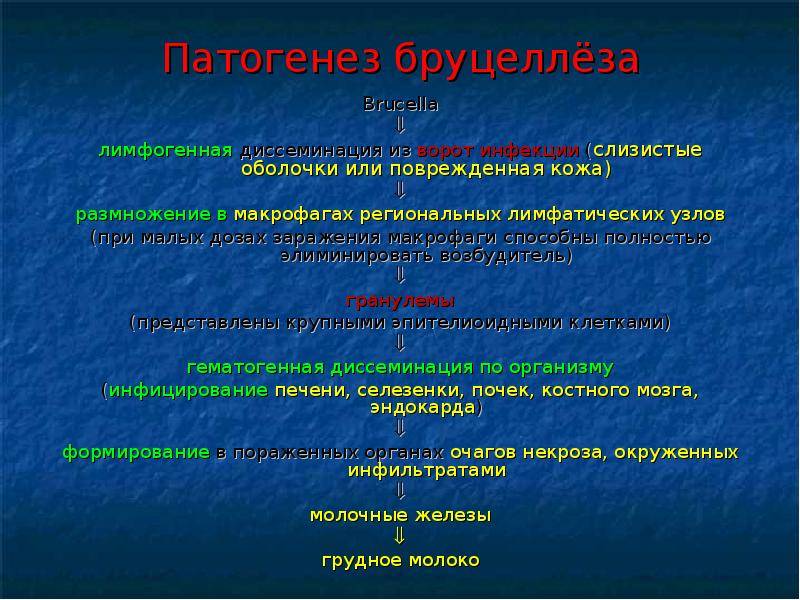 Зооантропонозы: часть первая. Бактерии