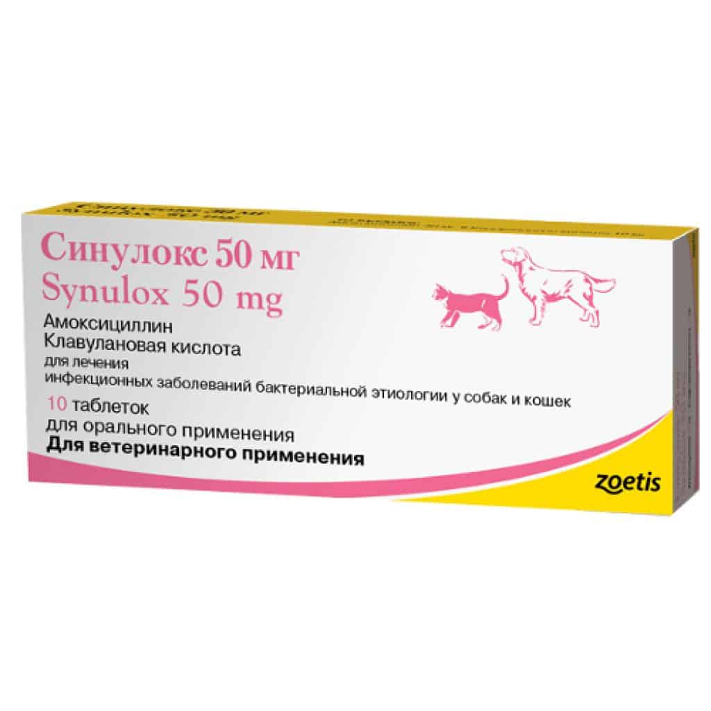 Антибиотики при укусе кошки — топ 5 препаратов при укусе, инструкция по применению