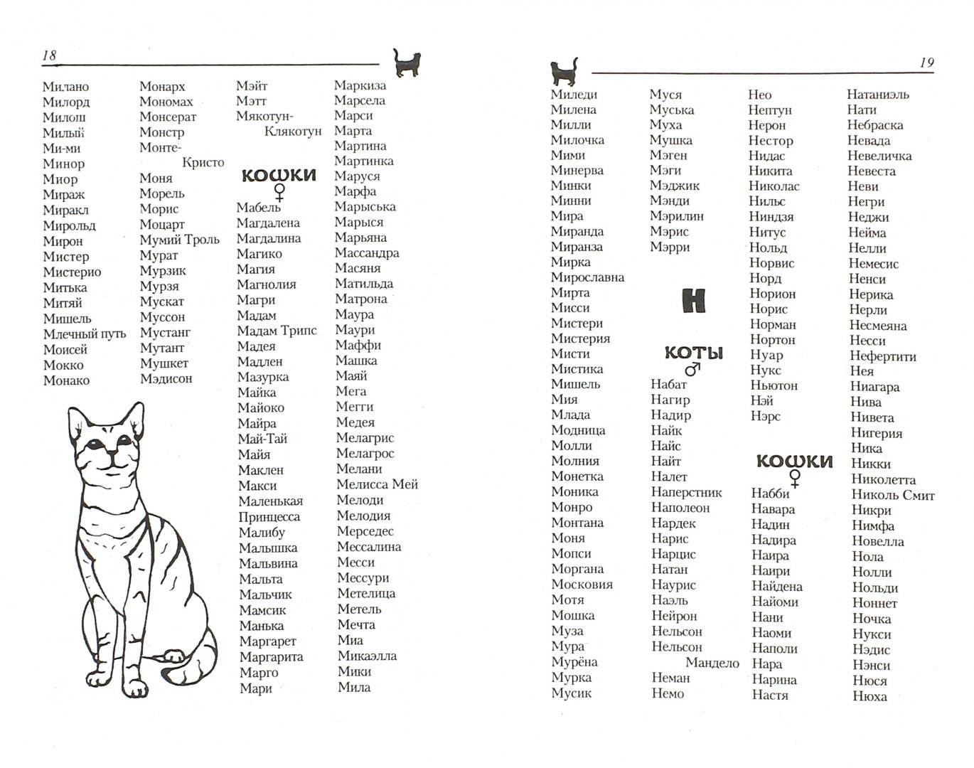 Как назвать сиамского кота - энциклопедия про кошек и собак