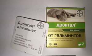 Лучшие капли на холку для кошек от блох и глистов