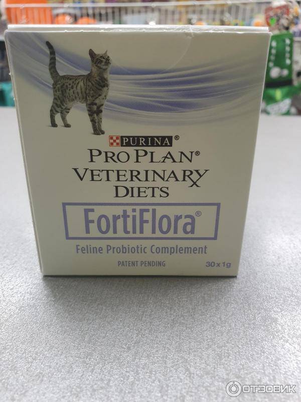 Фортифлора для кошек: инструкция по применению пробиотика от “пурины”
