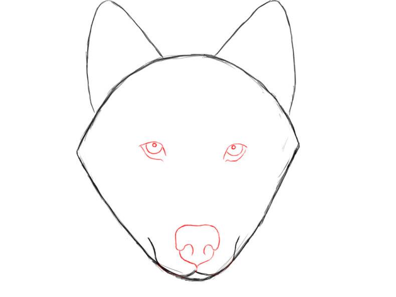 Как нарисовать собаку или щенка видео уроки для детей и начинающих » рисуем собачек легко поэтапно карандашом и красками