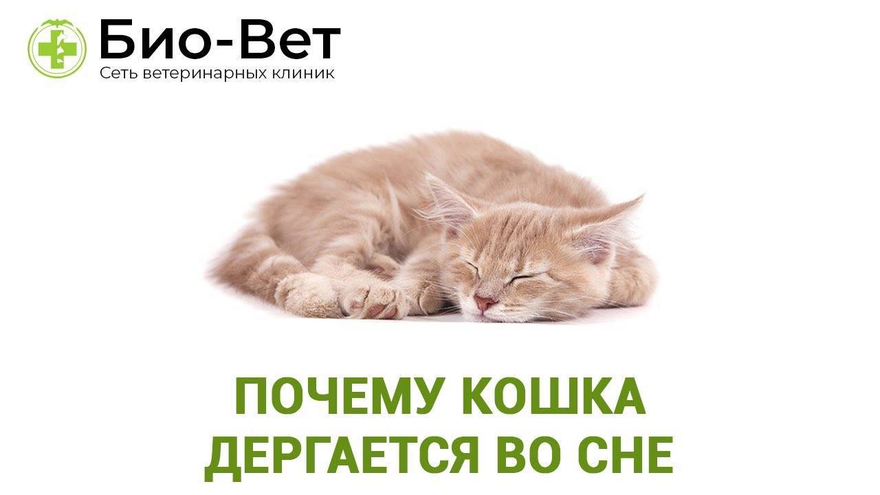 Синдром беспокойных ног ️: симптомы, признаки и причины, диагностика и лечение