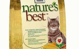 Чем и как кормить кастрированного кота в домашних условиях?