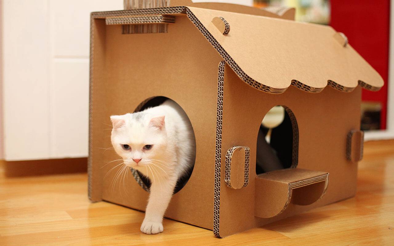 Домик для кошки своими руками: как сделать дом для кота из картонных коробок, фанеры, ткани - пошаговые инструкции, чертежи и фото