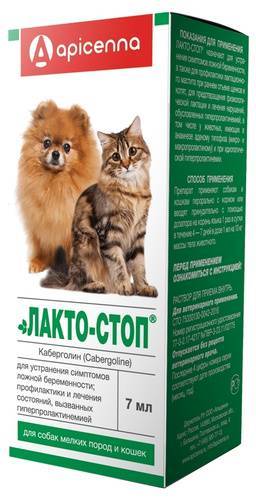 Котэрвин для кошек и котов: состав, цена, инструкция по применению и аналоги