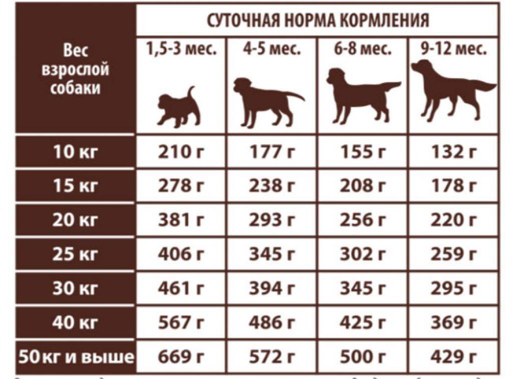 Сколько должна есть собака - таблица?