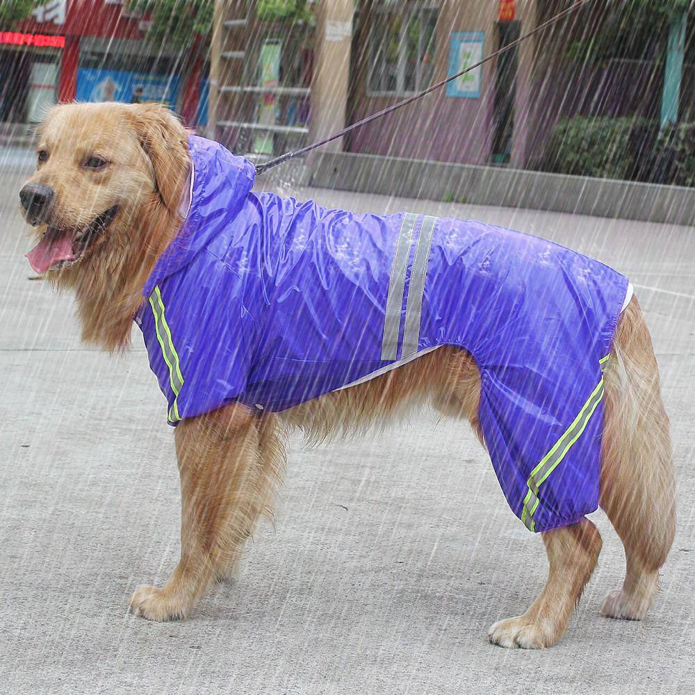 Выкройка дождевика для собаки своими руками: комбинезон с застёжкой по спине