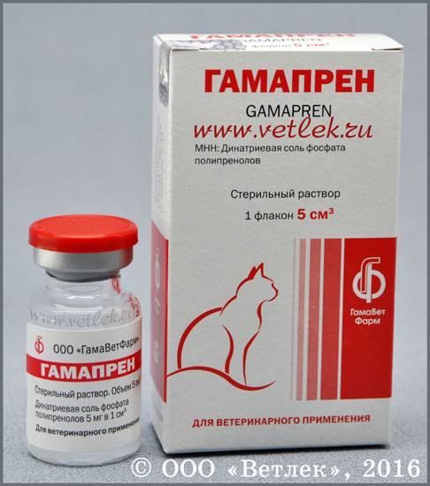 Гамавит Для Кошек Цена