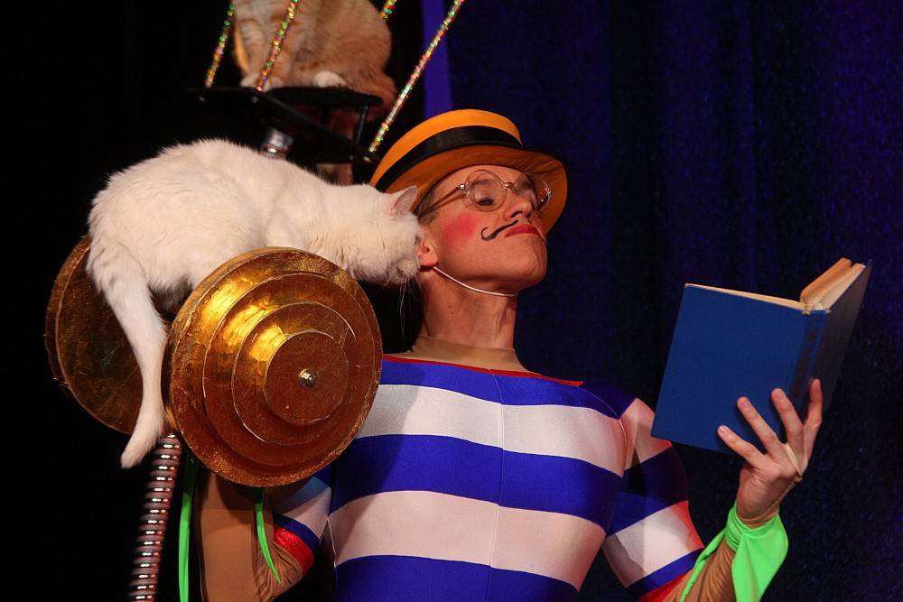 Юрий куклачев и его кошки: видео, отзывы, выступление театра