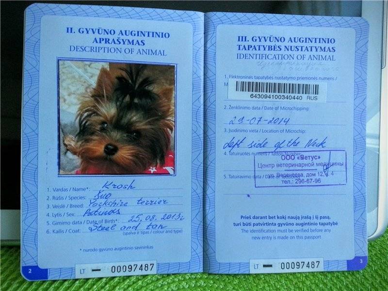 Международный ветеринарный паспорт для собак: цены на оформление. сделать и получить собачий вет паспорт.
