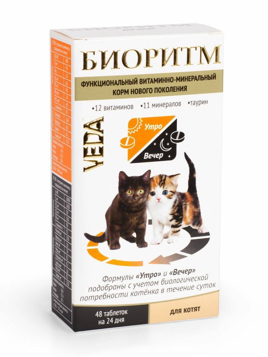 Значение и критерии выбора витаминов для кошек