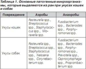 Антибиотики при укусе собаки. При укусах кошек какой антибиотик. Антибиотики при укусе кошки. Какой антибиотик пить при укусе кошки.