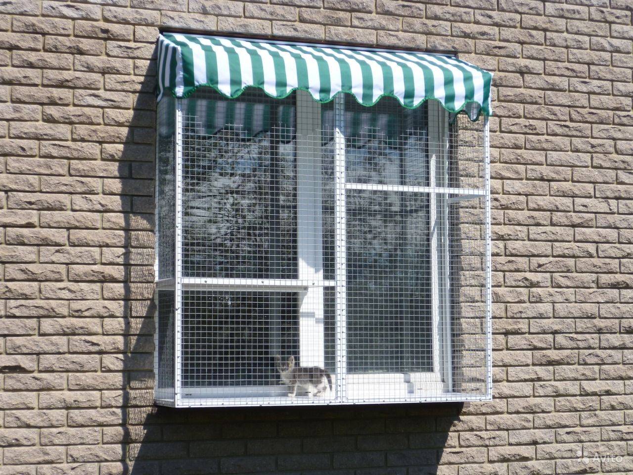 ?антикошка» — сетка на окно для защиты домашних питомцев